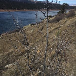 Meet your Posher, Cathy